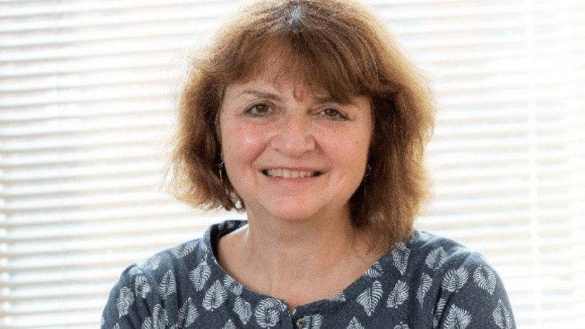 The linguistic challenges of the transition from primary to secondary school